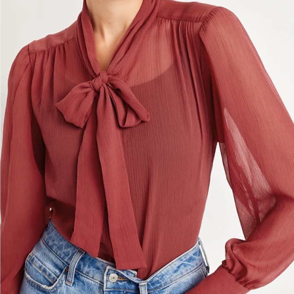Old Navy Brick Red Tie-Neck Sheer Blouse